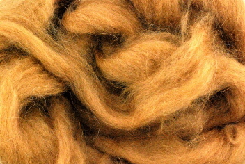 Camel fibre | Wild Fibres natural fibres