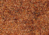 Flax seed