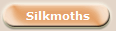 Silkmoths