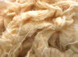 Fine Loose Cotton fibre - © Mike Roberts