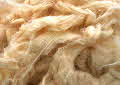 Natural fibre plants - cotton & kapok | Wild Fibres natural fibres