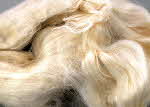 Mulberry Silk fibre -  Mike Roberts