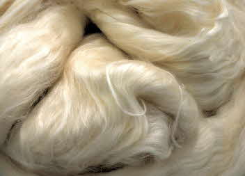 Mulberry (Bombyx) silk -  Mike Roberts