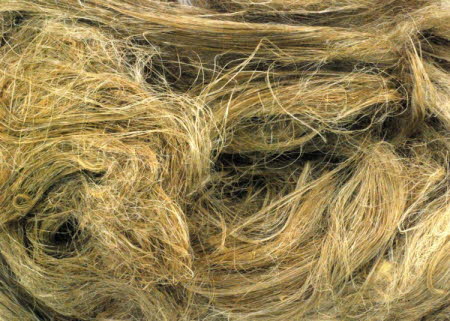 Line Flax fibre