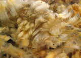 Ryeland sheep fleece