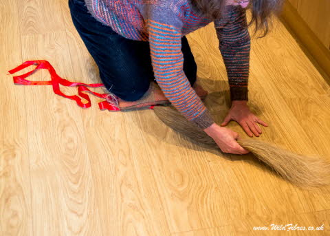 2.Fanning the flax