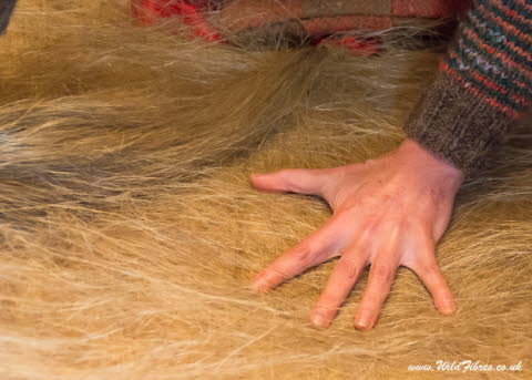 8.Patting down flax fibres