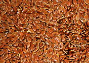 Fibre flax seeds, var. Marylin