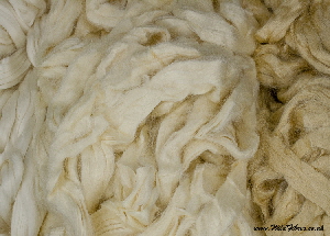 Mulberry & tussah silk comparison; on left - Mulberry silk, on right - Natural Tussah, in middle - Bleached Tussah silk tops | Wild Fibres natural fibres